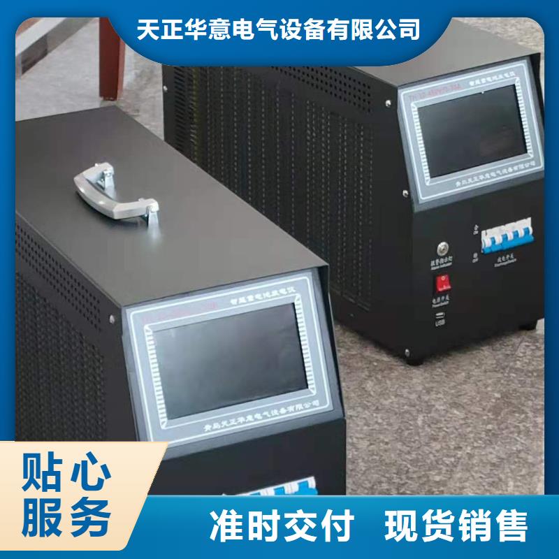 智能型蓄电池放电仪询问报价儋州市