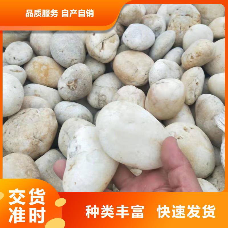 【 氨氮去除剂,pam聚丙烯酰胺产地直供】本地货源