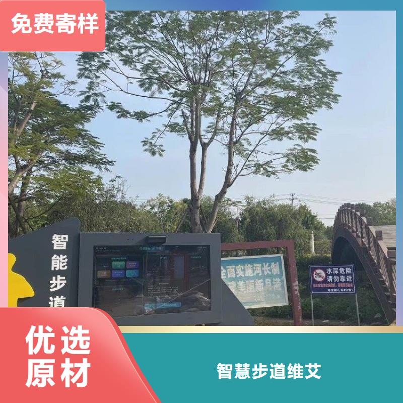 光影陪跑费用（维艾狄尔）