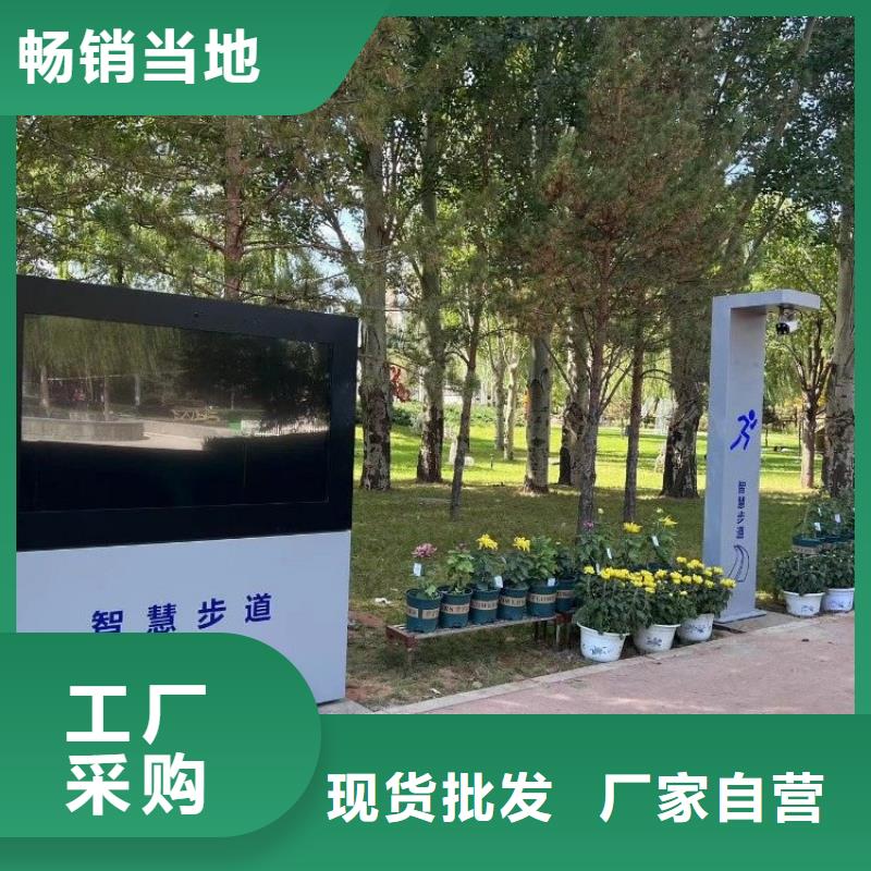 智慧健身步道方案厂家（支持定制）