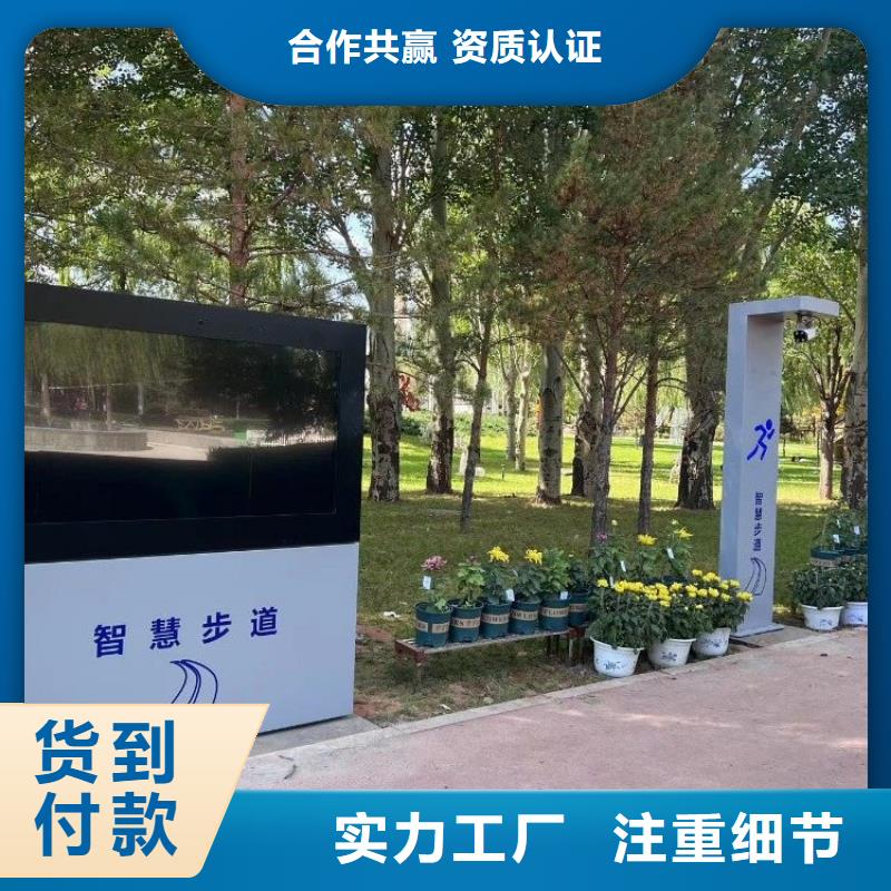 ai智能公园造价（维艾狄尔）