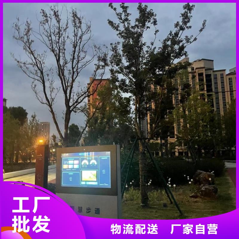 智慧跑步道价格（维艾狄尔）