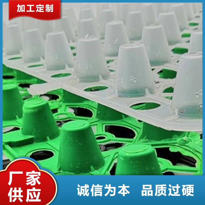温州生产塑料排水板新发售价格
