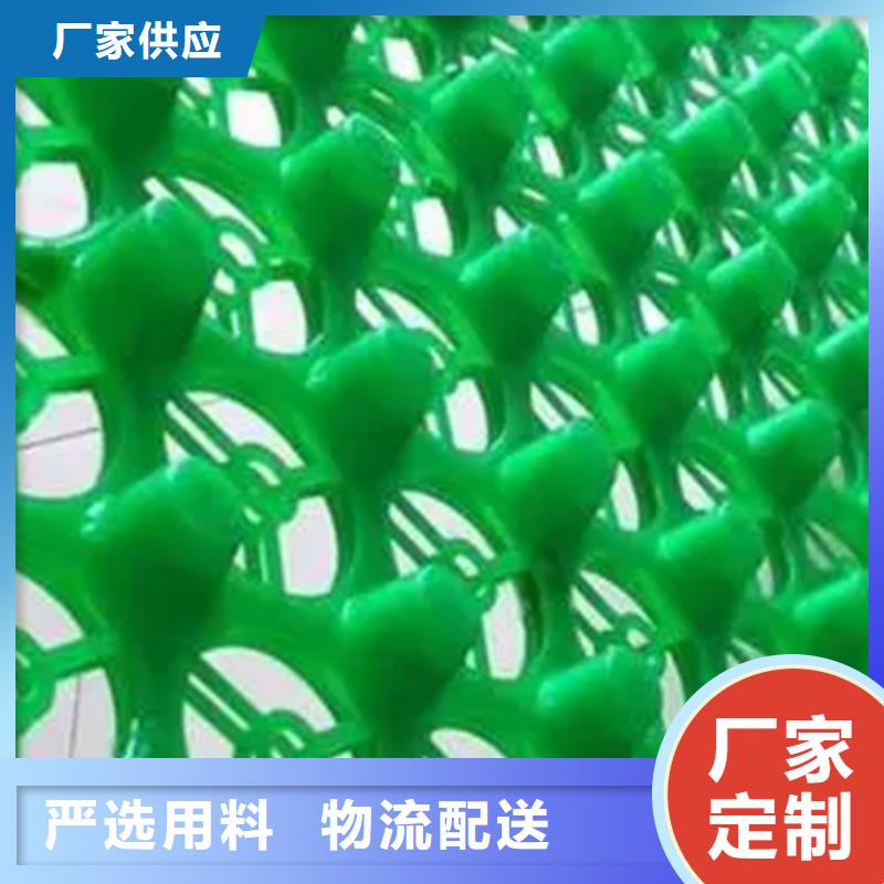 【镇江】附近塑料排水板质量保证
