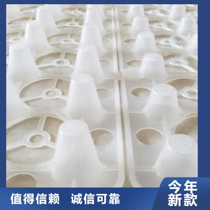 【大庆】本地塑料排水板新发售价格
