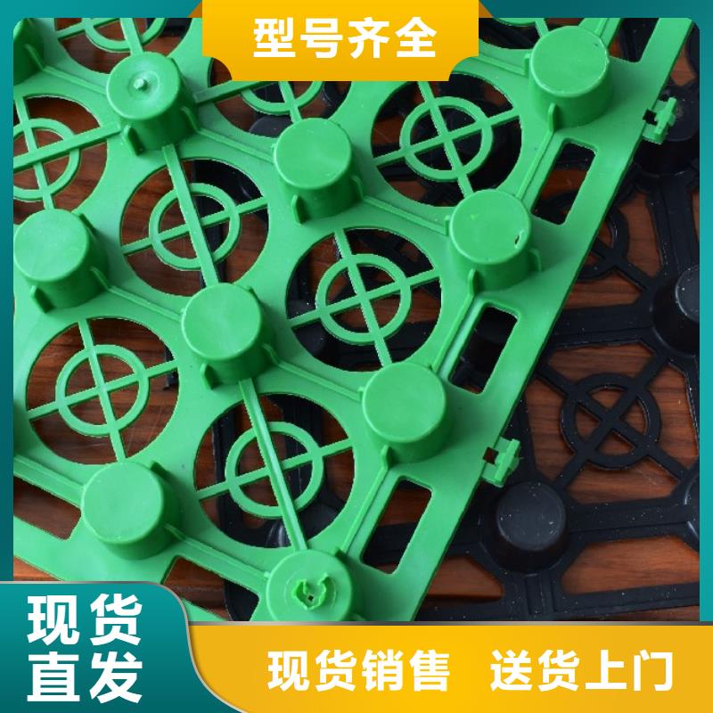徐州直销塑料排水板欢迎电询