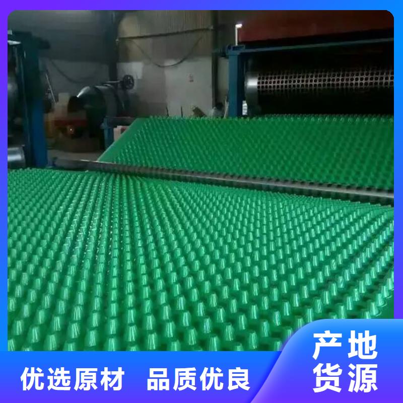 杭州本地塑料排水板欢迎电询