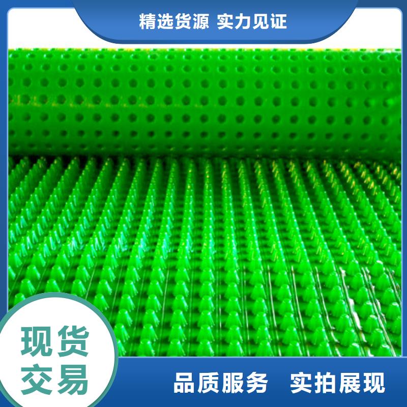 宁夏本地塑料排水板每平价格