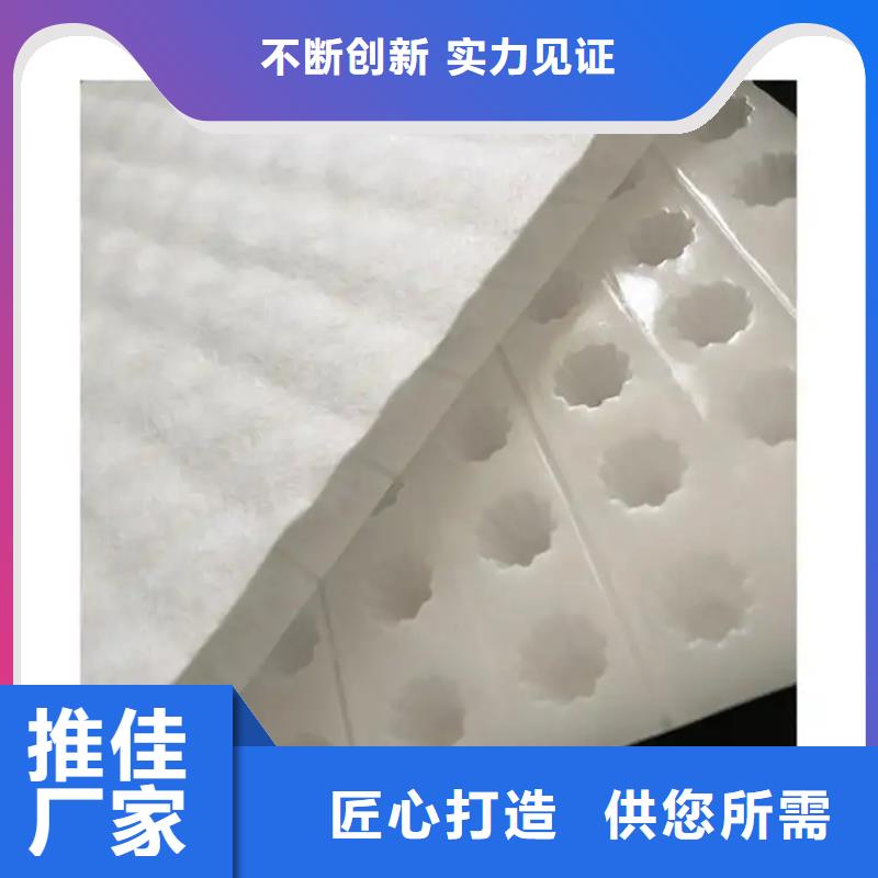 虹吸排水_防护虹吸排水收集系统产品优势特点