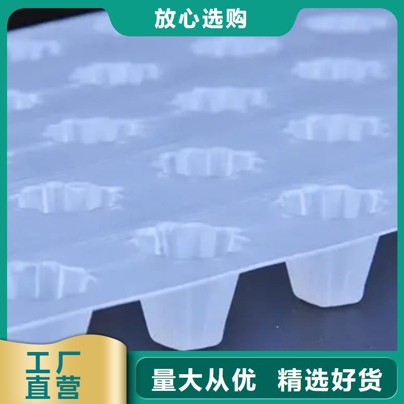 虹吸排水排水板高品质诚信厂家