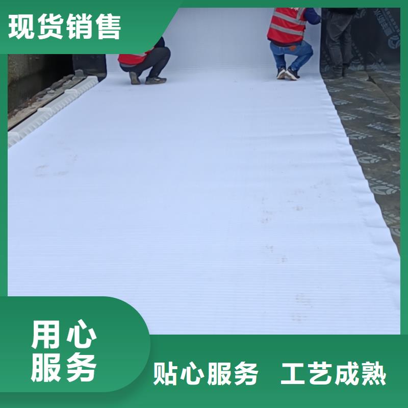 零坡度防護虹吸排水收集系統規格
