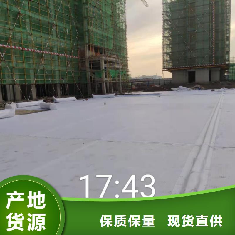 虹吸排水排水板高品質誠信廠家