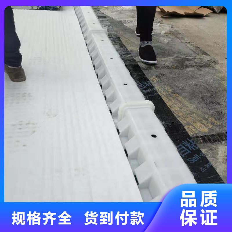 虹吸排水排水板高品質誠信廠家