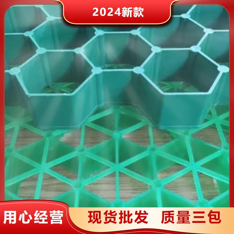 植草格——24h熱線