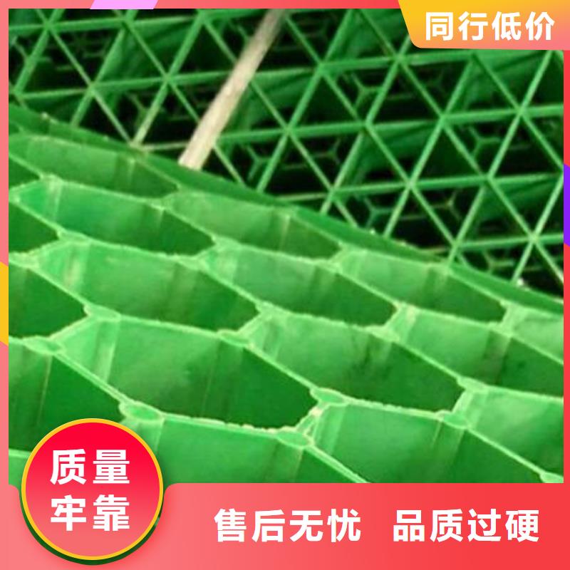 5公分植草格价格