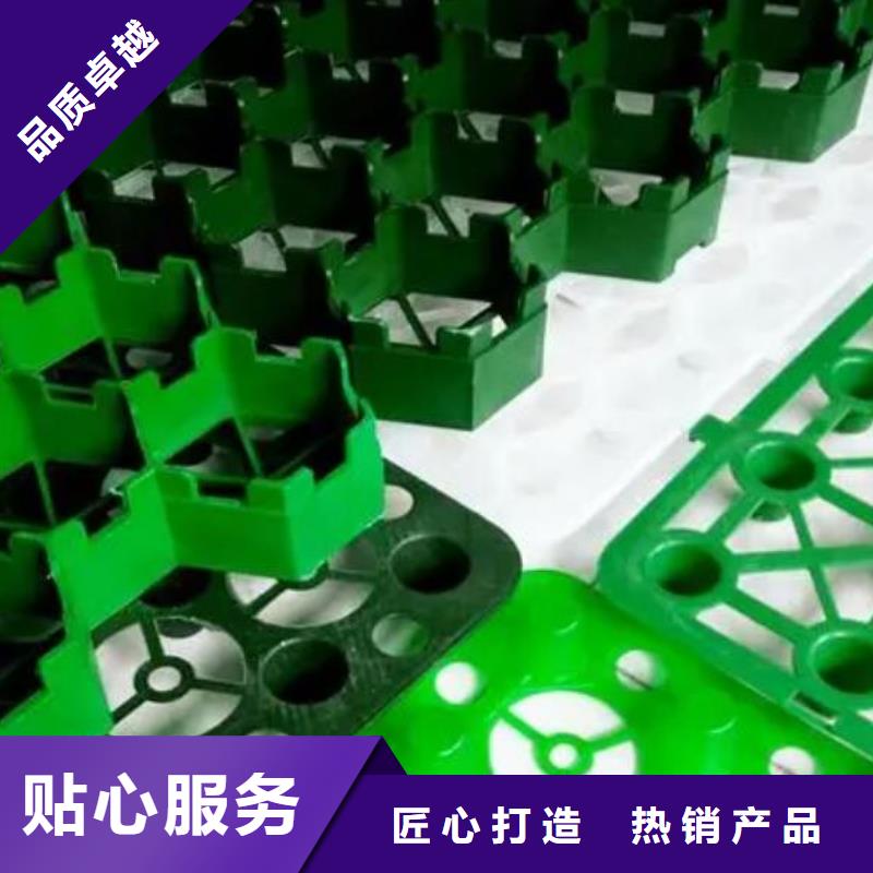 【植草格】 植草格买的放心