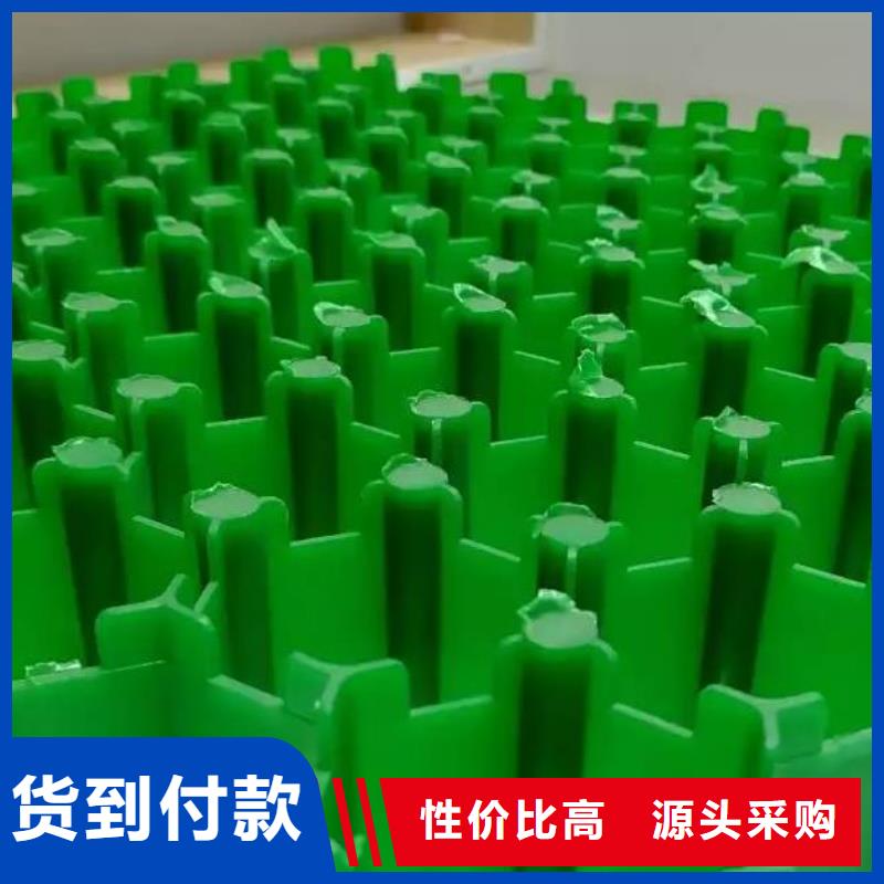 塑料植草格廠家免費寄樣