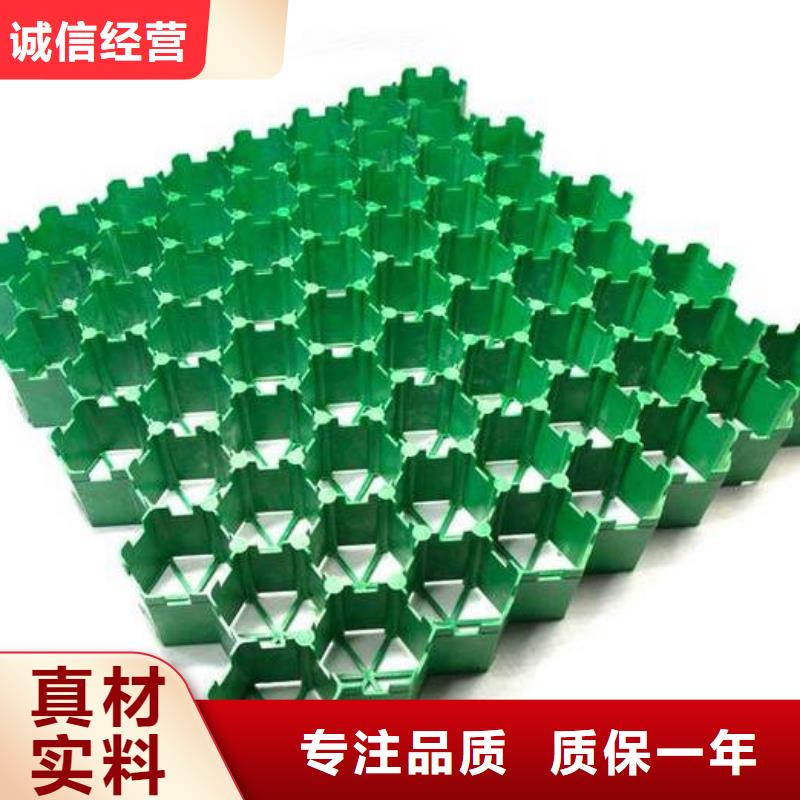 塑料植草格-3公分植草格现货发售