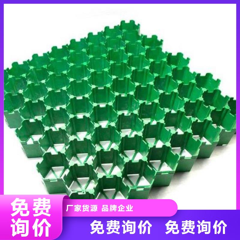 塑料植草格哪里能買