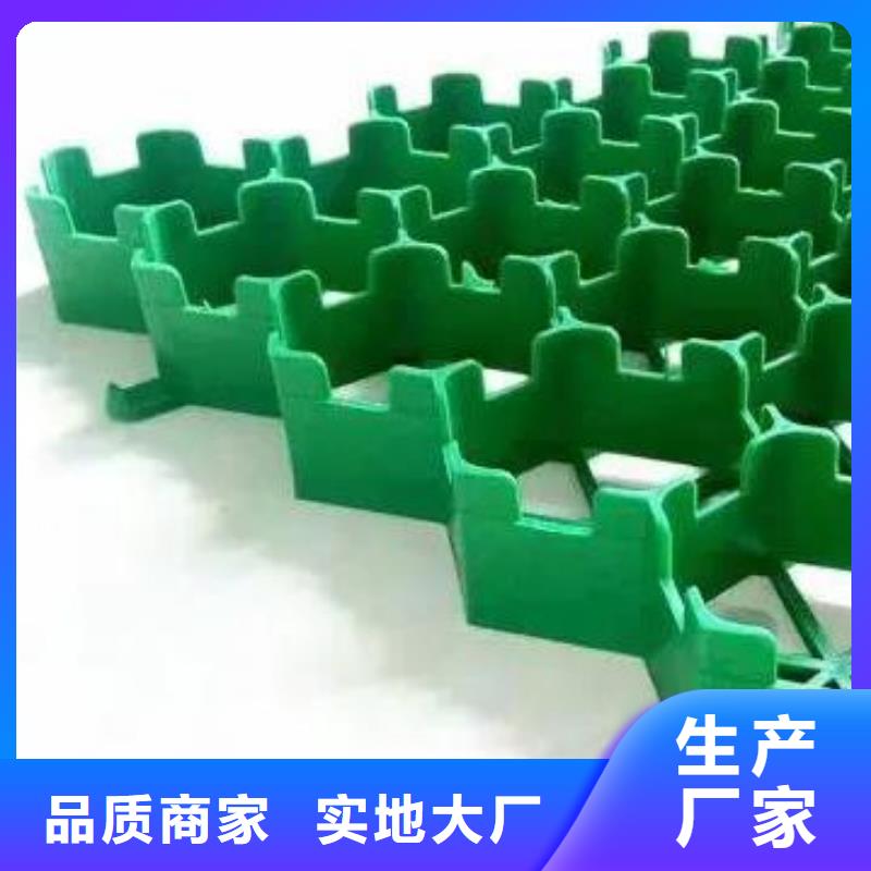 植草格水泥化粪池畅销当地