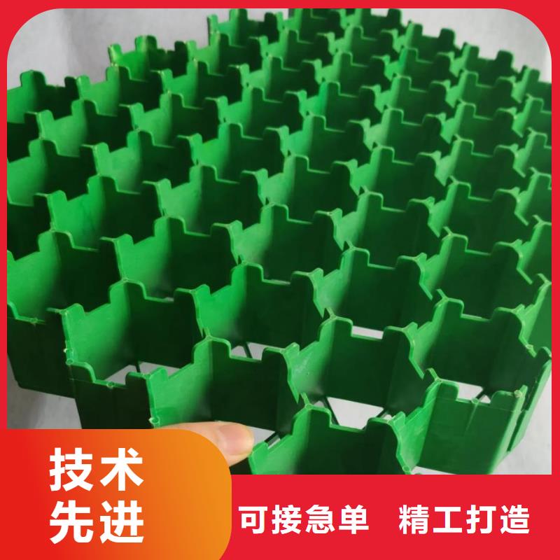 塑料植草格2025新闻