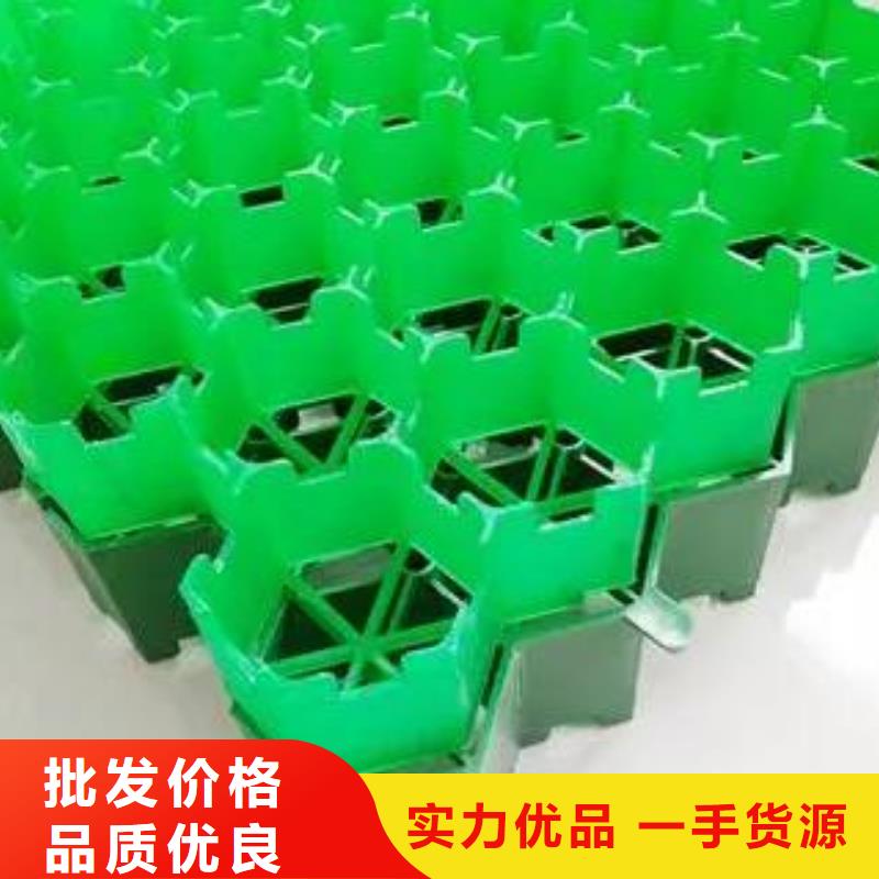 塑料植草价格-2024已更新