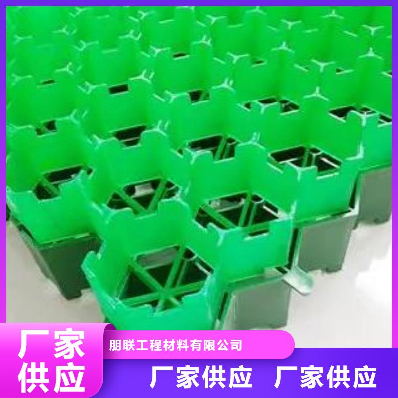 塑料植草格价格#行情价2024