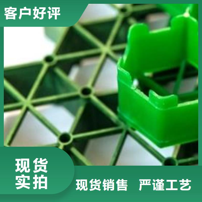 塑料植草生产厂家/批发