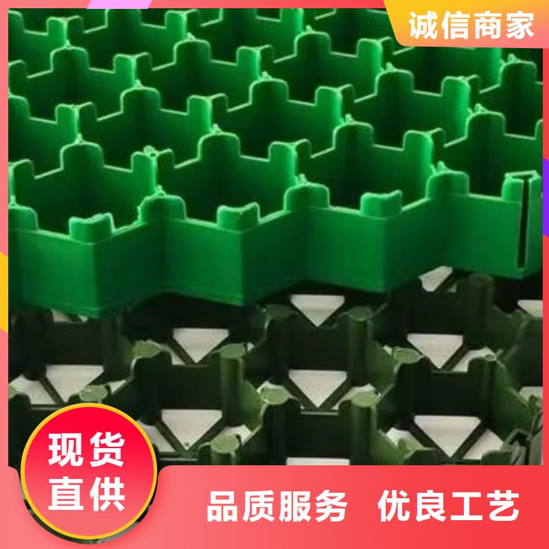 塑料植草格型号全-新品发售