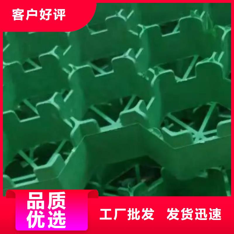 植草格化粪池水泥货源足质量好