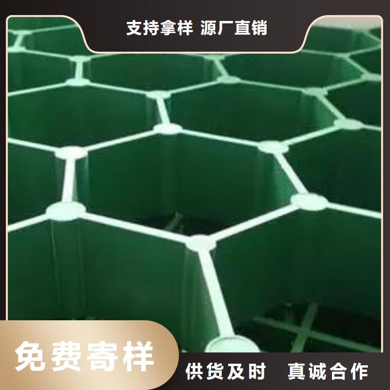 【植草格】_植草格認(rèn)準(zhǔn)大品牌廠家