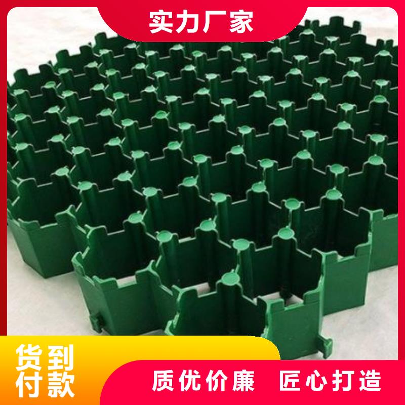 植草格化粪池水泥货源足质量好