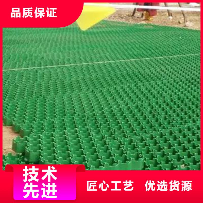 【大同】经营塑料植草格2024新闻