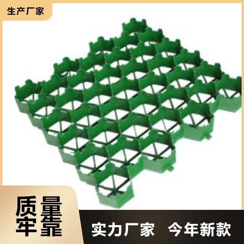 塑料植草格哪里能買