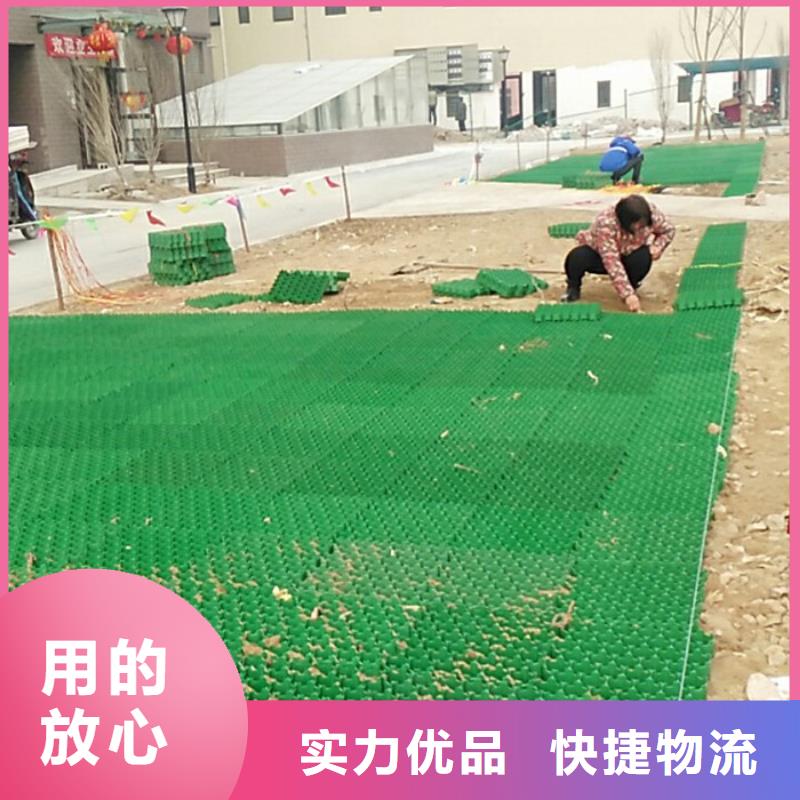 塑料植草格价格#行情价2024