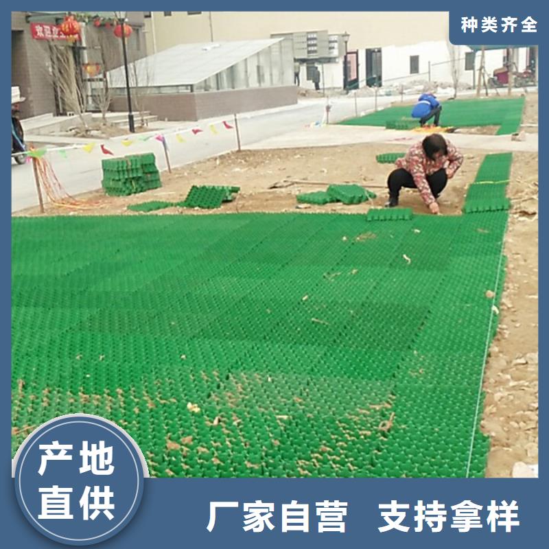 植草格2024新行情价