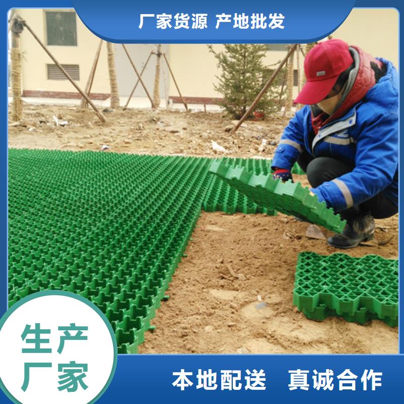 停车场植草格价格2025