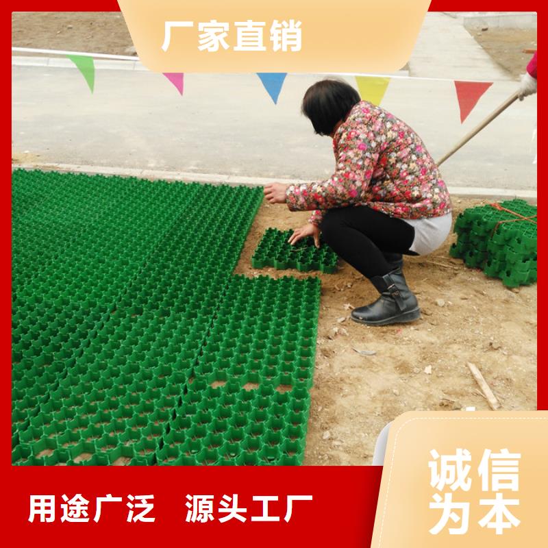 塑料植草格-厂家直营点