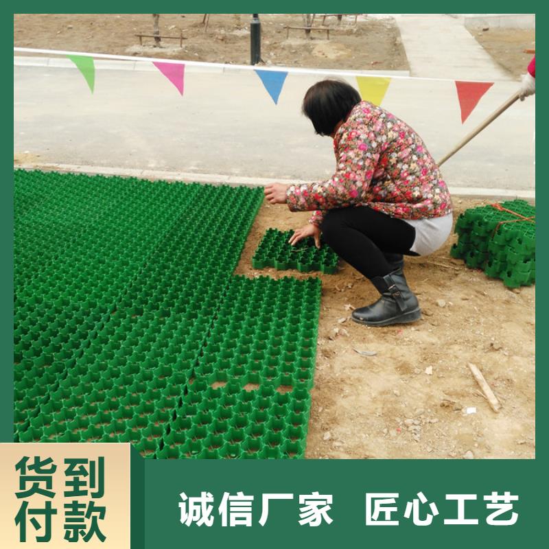 塑料植草格全国走货