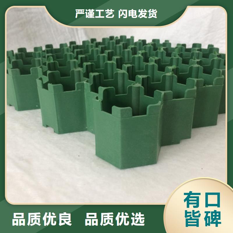 塑料植草格——24h热线