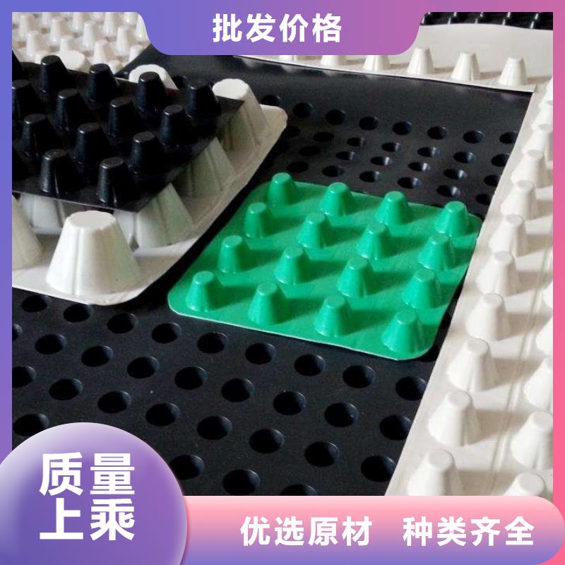 专业的生产厂家塑料排水板 【 植草格】每个细节都严格把关