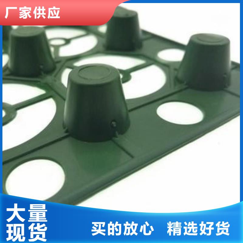 植草格视频- 植草格-朋联工程材料(武汉市分公司)服务区域汉南|黄陂|孝感|恩施|荆门|鄂州|十堰|咸宁