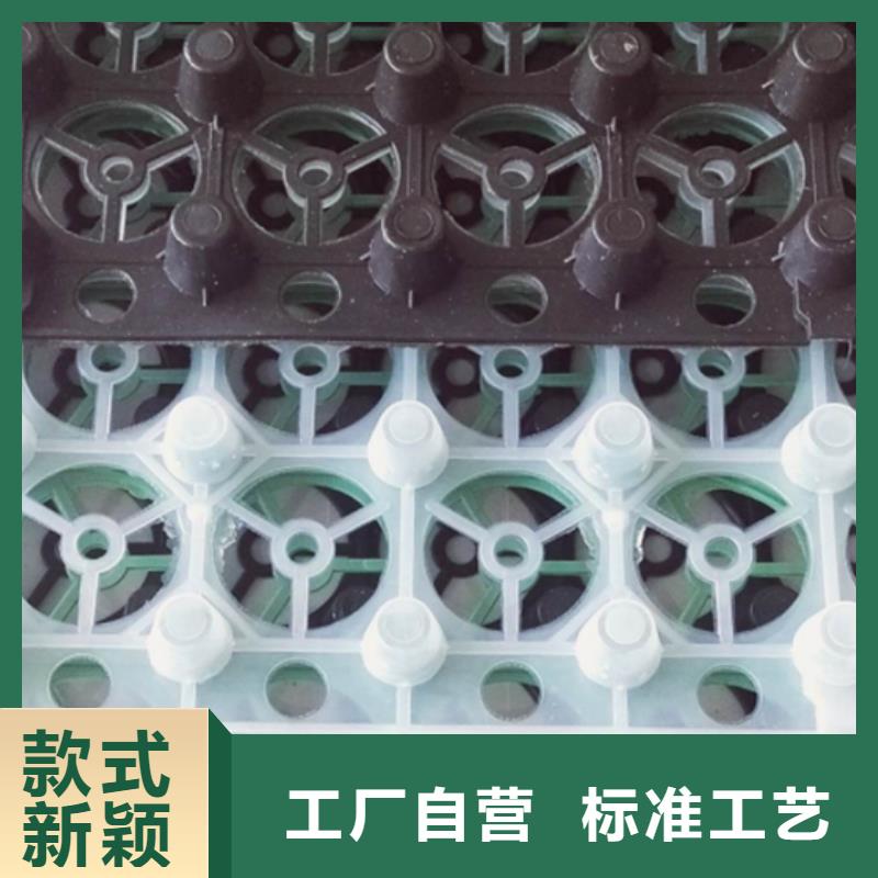 植草格视频- 植草格-朋联工程材料(武汉市分公司)服务区域汉南|黄陂|孝感|恩施|荆门|鄂州|十堰|咸宁