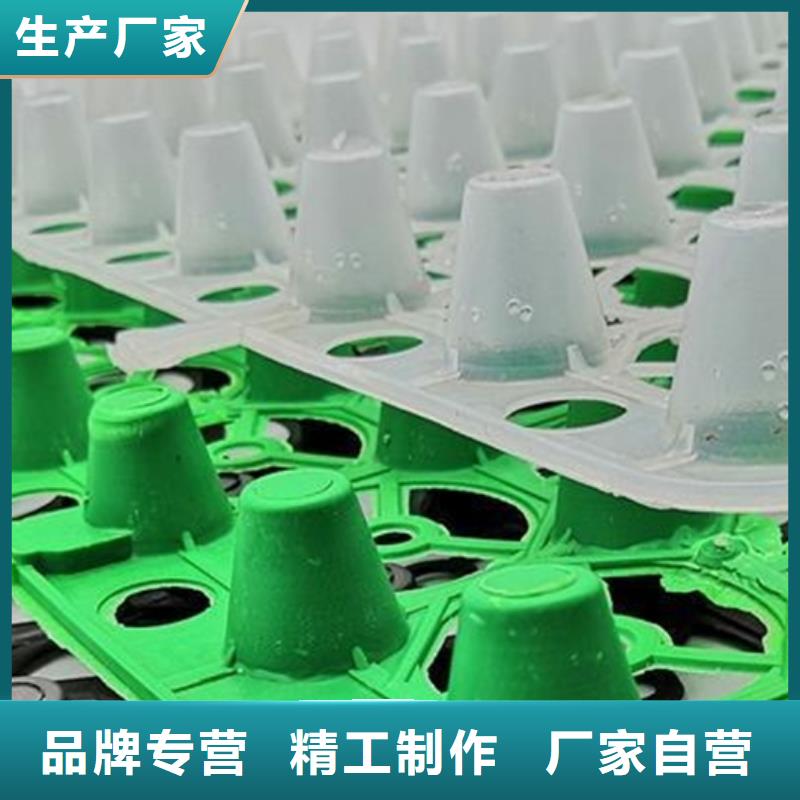 塑料排水板【防护虹吸排水收集系统】多年经验值得信赖朋联水泥化粪池