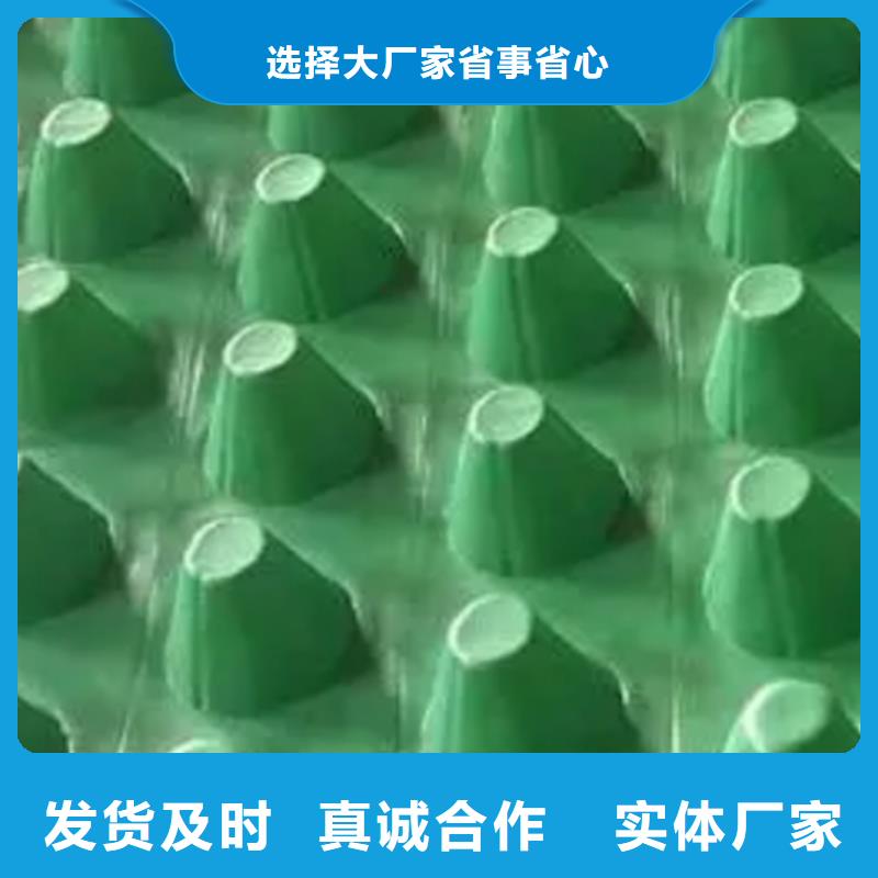 专业的生产厂家塑料排水板 【 植草格】每个细节都严格把关