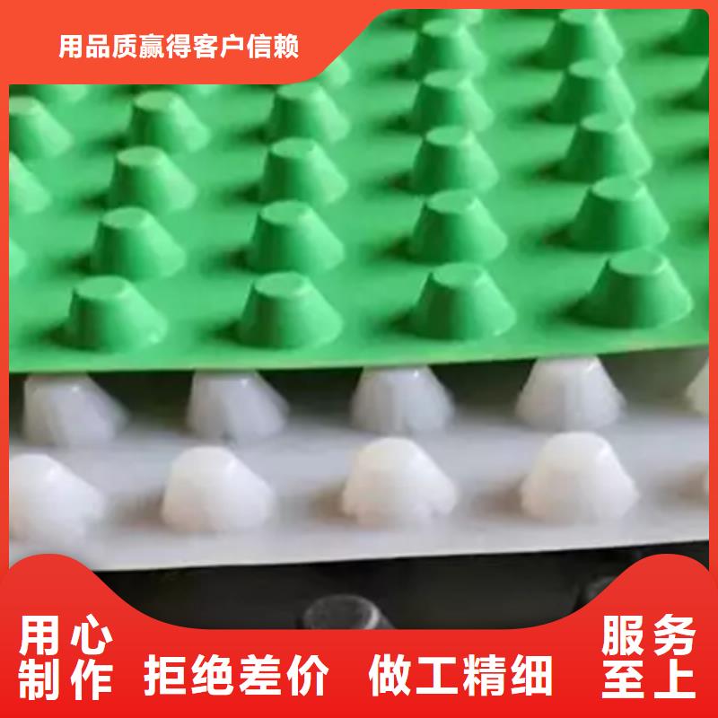 【 塑料排水板 植草格一站式服务】