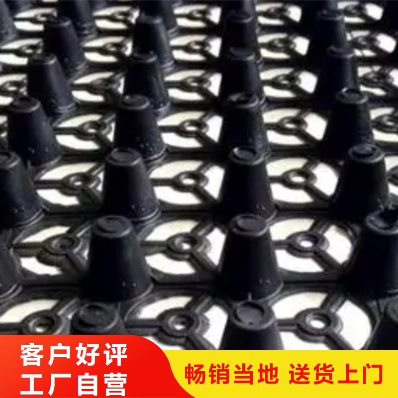 【 塑料排水板 植草格一站式服务】