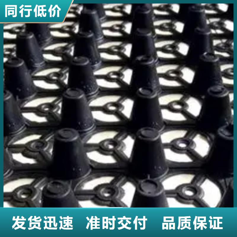 塑料排水板 【 植草格】每个细节都严格把关|硚口|青山|荆州|鄂州|随州|黄石|孝感|黄冈|宜昌qy55.com