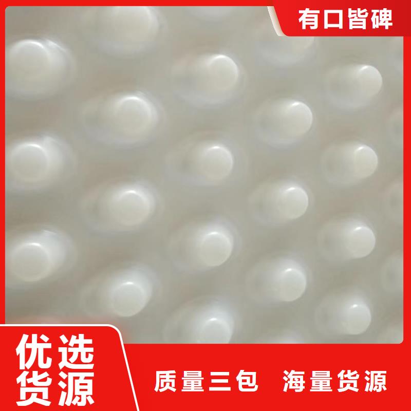 专业的生产厂家塑料排水板 【 植草格】每个细节都严格把关