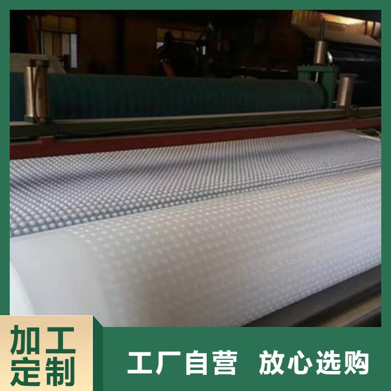 塑料排水板【防护虹吸排水收集系统】多年经验值得信赖朋联水泥化粪池